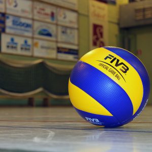 pelota de volleyball
